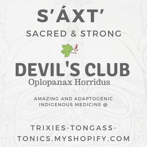 Devil's Club Extract